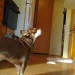 Lalman Mobile Home Park