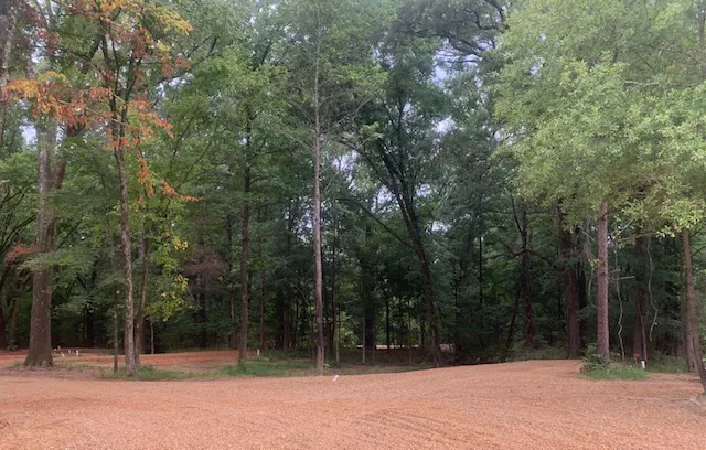 Purdie Creek Campground 2