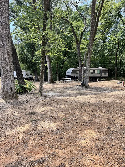 Purdie Creek Campground 6