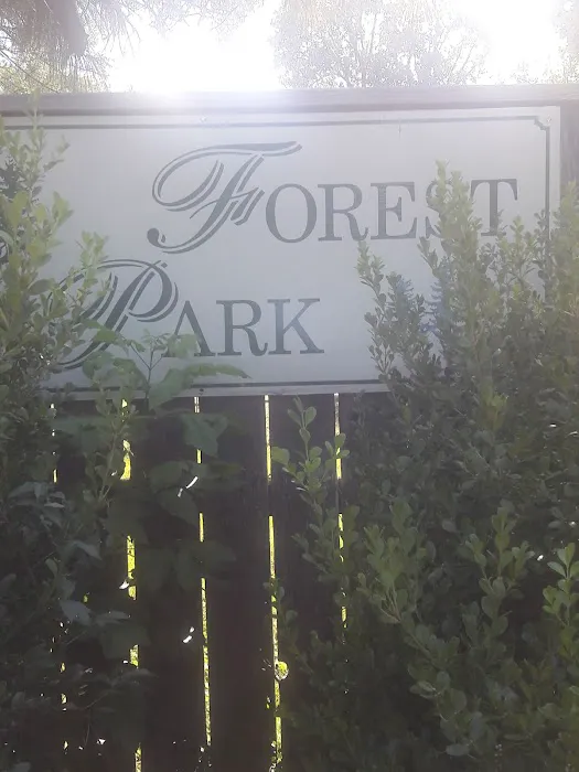 Forest Park 5