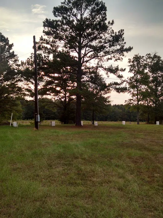 No Curfew Campground 4