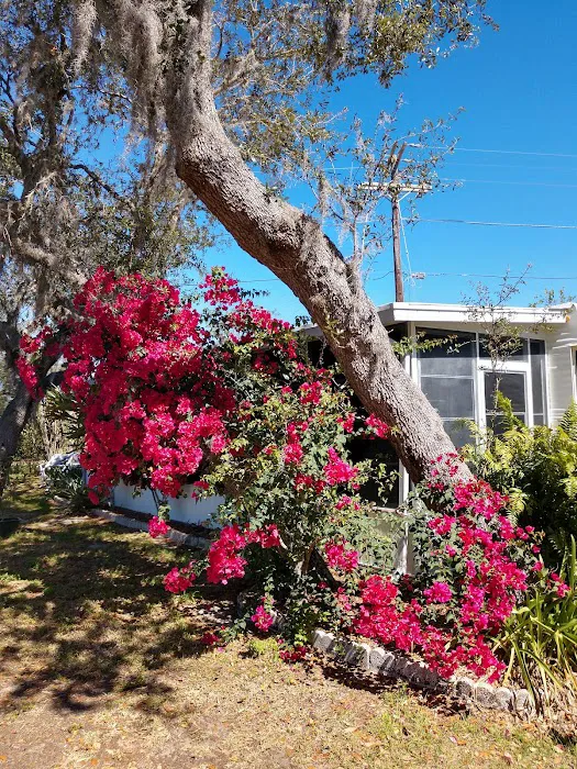 Highland Oaks RV Resort 3