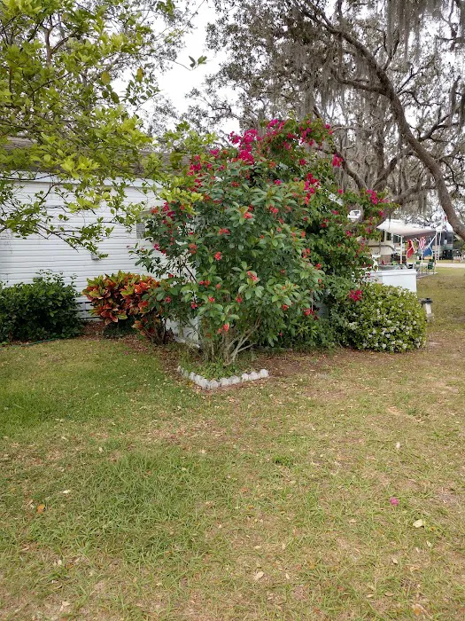 Highland Oaks RV Resort 6