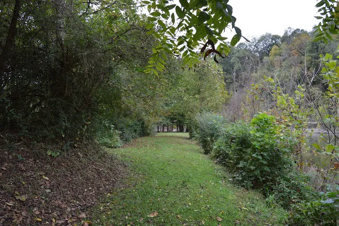 Island Park Campground 8