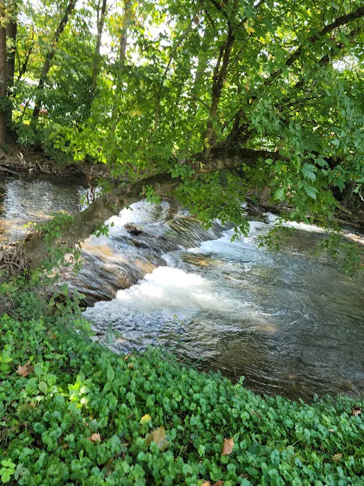 Shadrack Campground 3