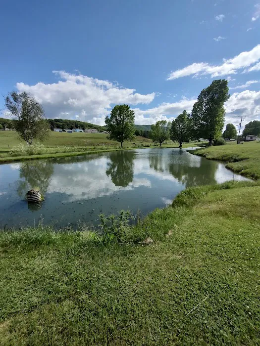 Fort Chiswell RV Park 4