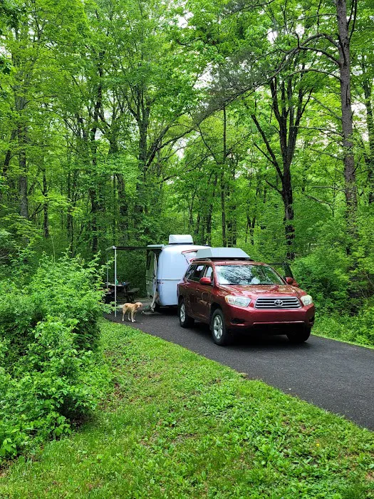 Stony Fork Campground 5