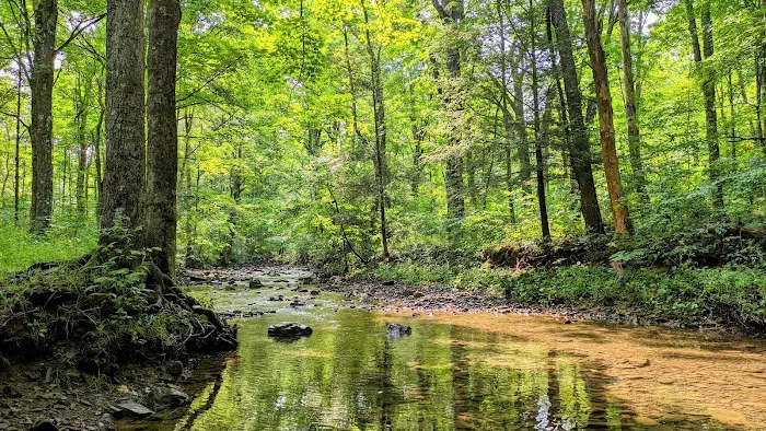 Stony Fork Campground 4