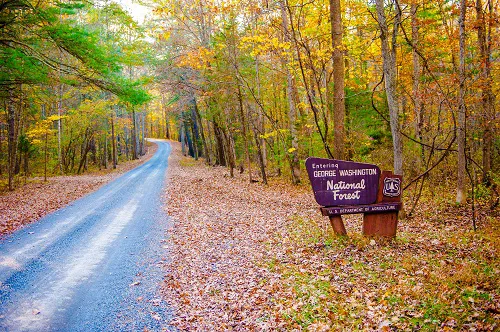 Stony Fork Campground 3