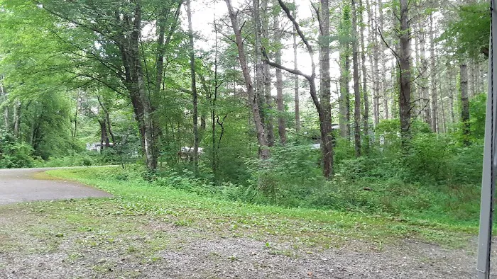 Stony Fork Campground 7
