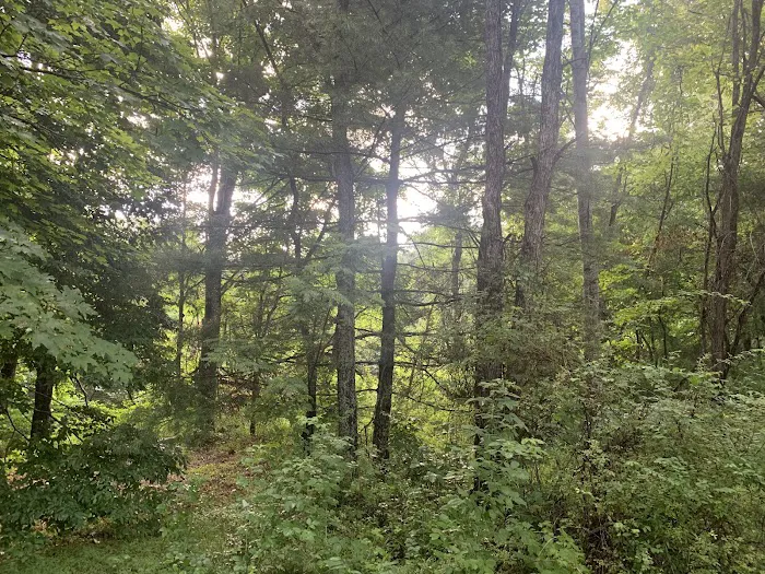 Stony Fork Campground 9