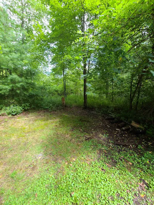 Stony Fork Campground 8