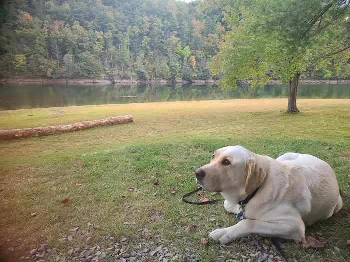Gatewood Park Campground 9