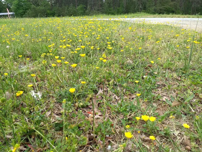 Twin Oaks Mobile Home Park 3
