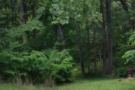 Goose Dam Campground