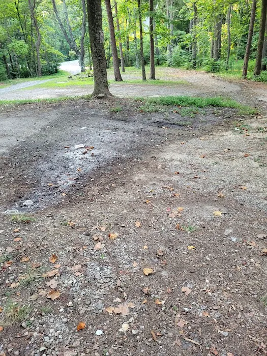 Goose Dam Campground 3