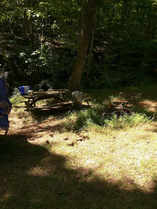 Goose Dam Campground 10