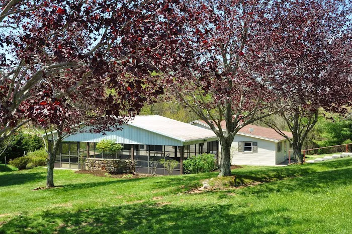 Virginia Highland Haven Airstream Park 1