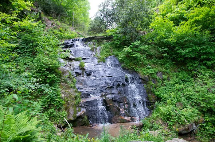 Virginia Highland Haven Airstream Park 3