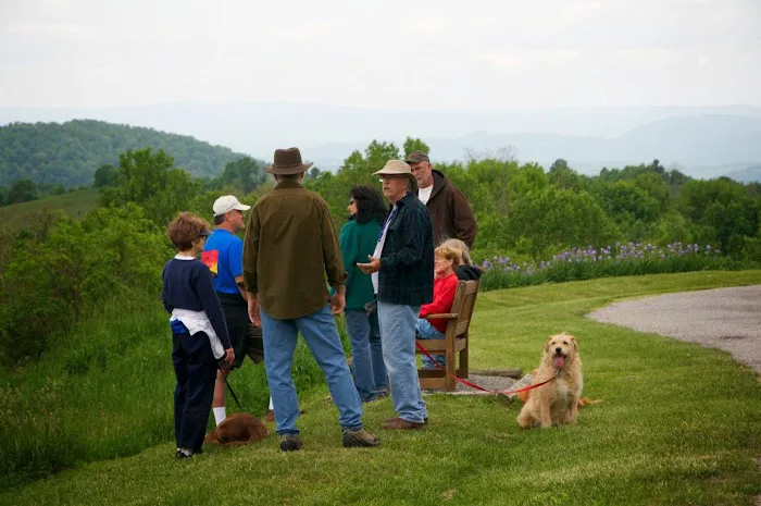 Virginia Highland Haven Airstream Park 9