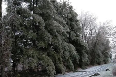 Lee Highway Court