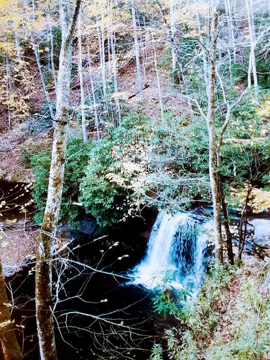 Rainbow Campground 5