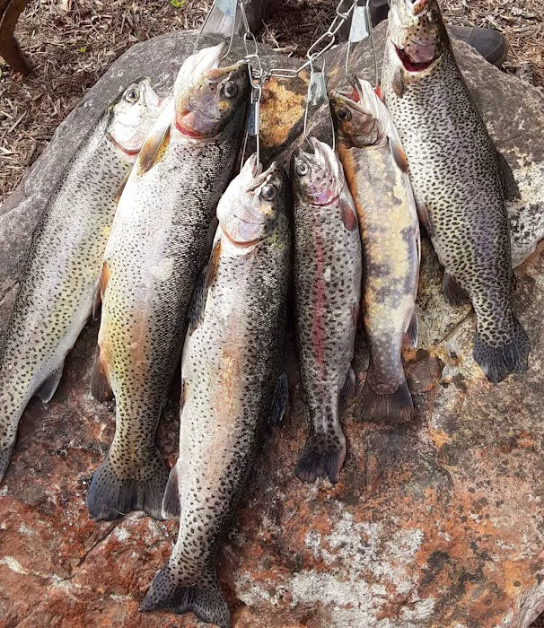 Rainbow Campground 7