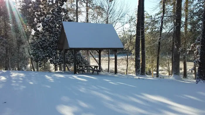Virginia Creek Campground 10