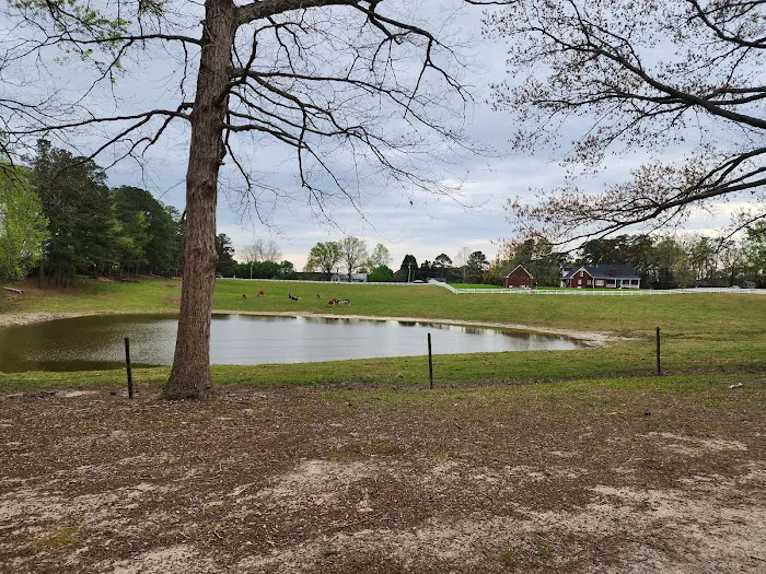 Rock Ridge Campground 3