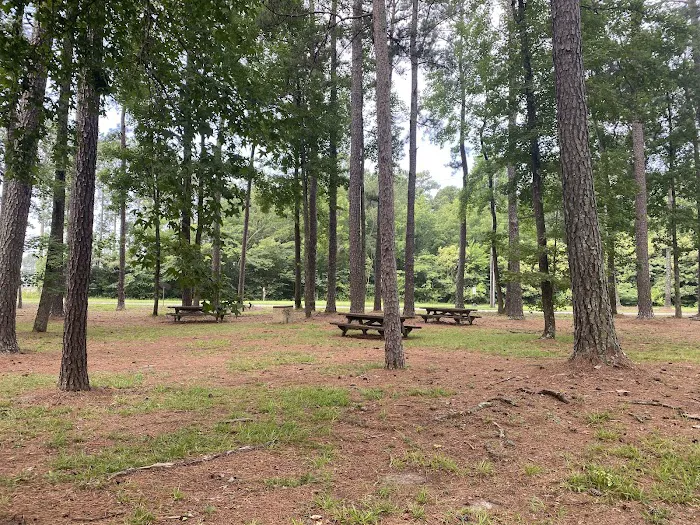 Seymour Johnson AFB Campground 6