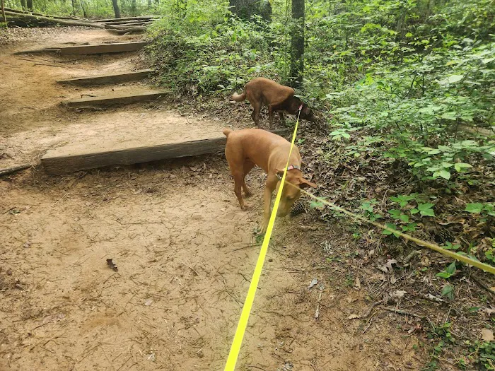 Cliffs of the Neuse Campground 9