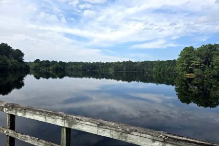 Cabin Lake Recreation