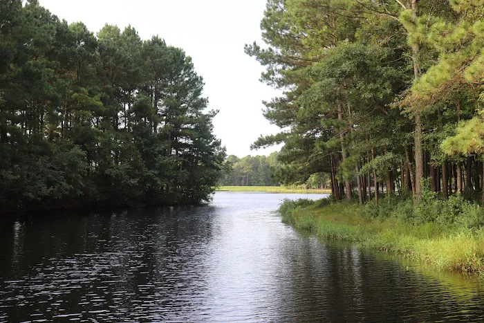 Cabin Lake Recreation 4