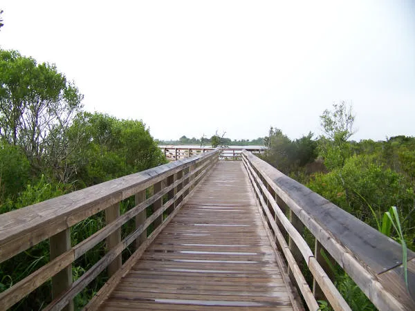 Topsail Sound Campground 8