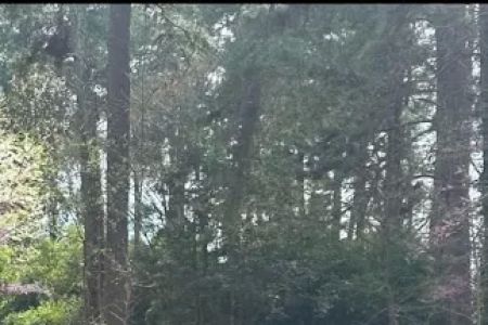 CASSIDY HILLS MH & RV PARK