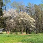 Wishing Well RV Park