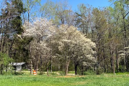 Wishing Well RV Park