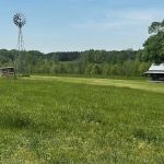 Cane Creek Campground & RV Prk