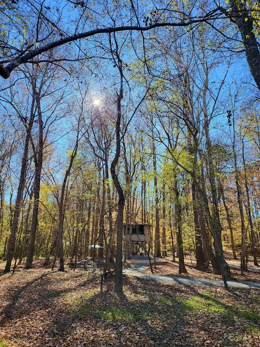 Saxapahaw Campground 9