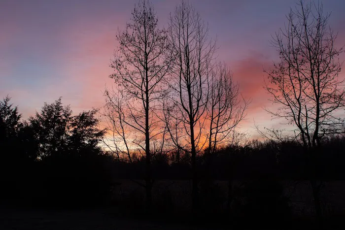 Jones Station RV Park and Campground 7