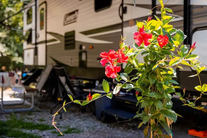 Triangle RV Park - North 5