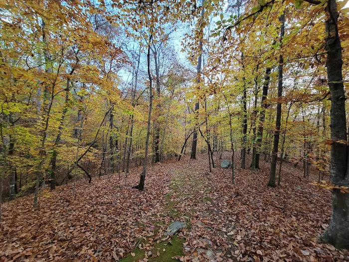 Piper Creek Campground 5