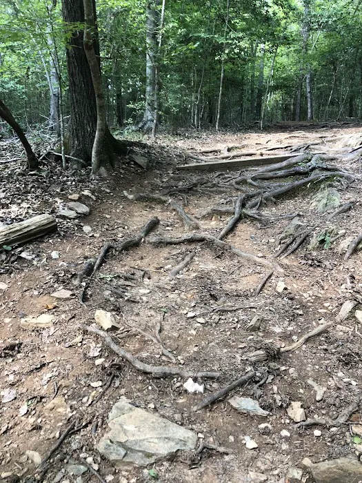 Piper Creek Campground 9
