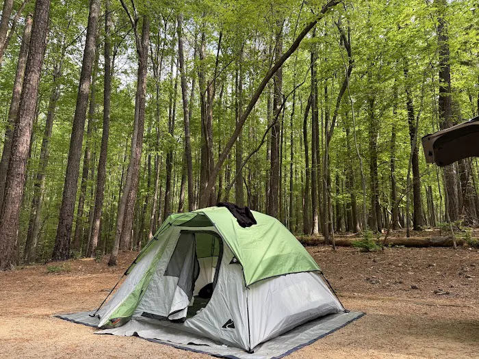 Holly Point Campground State Recreation Area 5