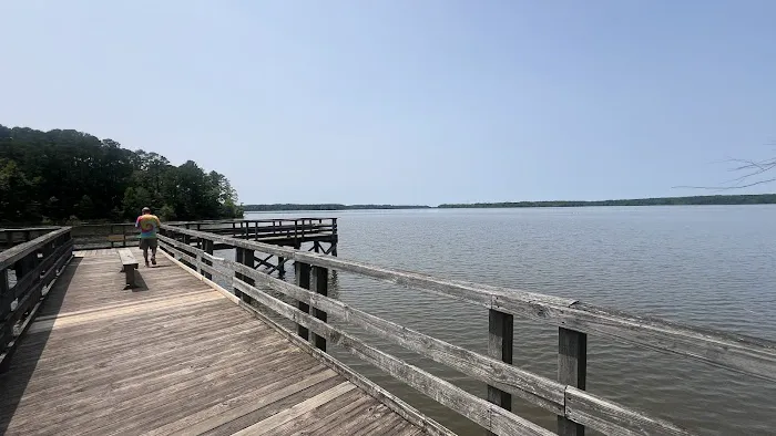 Holly Point Campground State Recreation Area 1