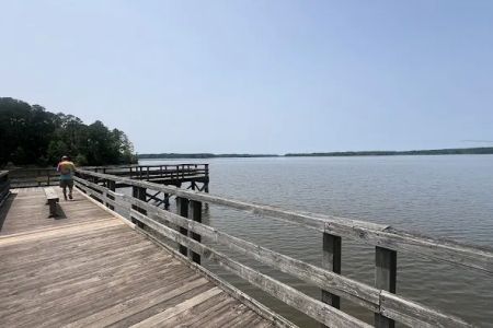 Holly Point Campground State Recreation Area