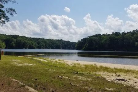Holly Point Loop 1 Campgrounds