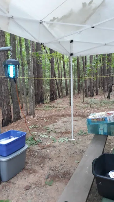 Holly Point Loop 1 Campgrounds 2