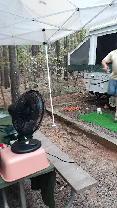 Holly Point Loop 1 Campgrounds 9