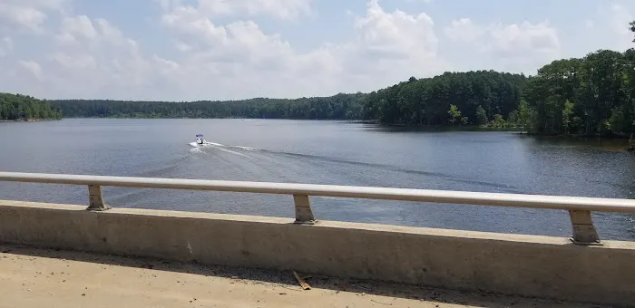 Holly Point Loop 1 Campgrounds 4